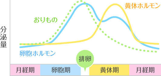 おりものの量